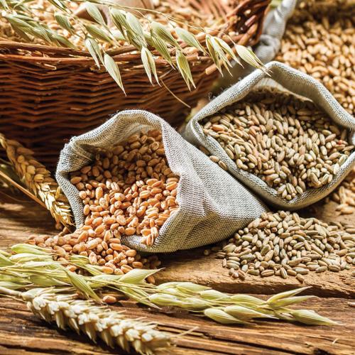 Cereali sfusi