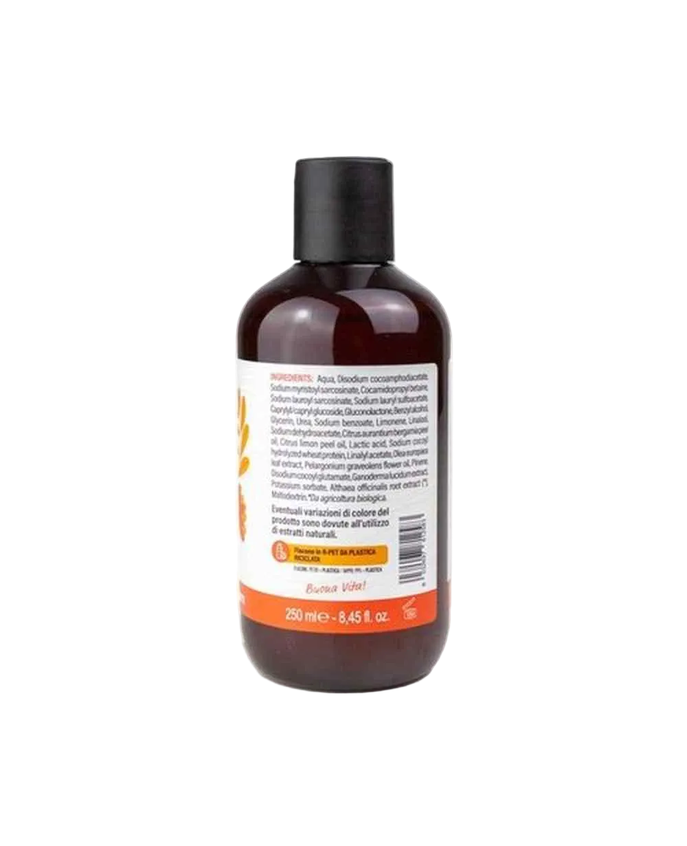 Vårdande Schampo Hair Care - TeaNatura