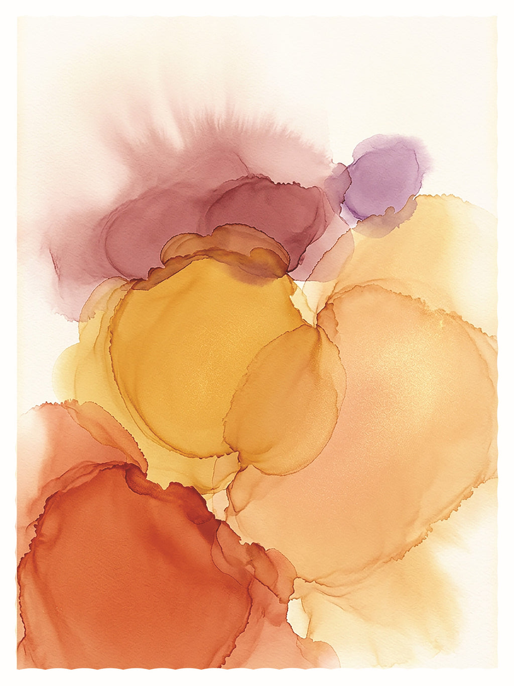 Alba · Fuoco · 02 - Solmize