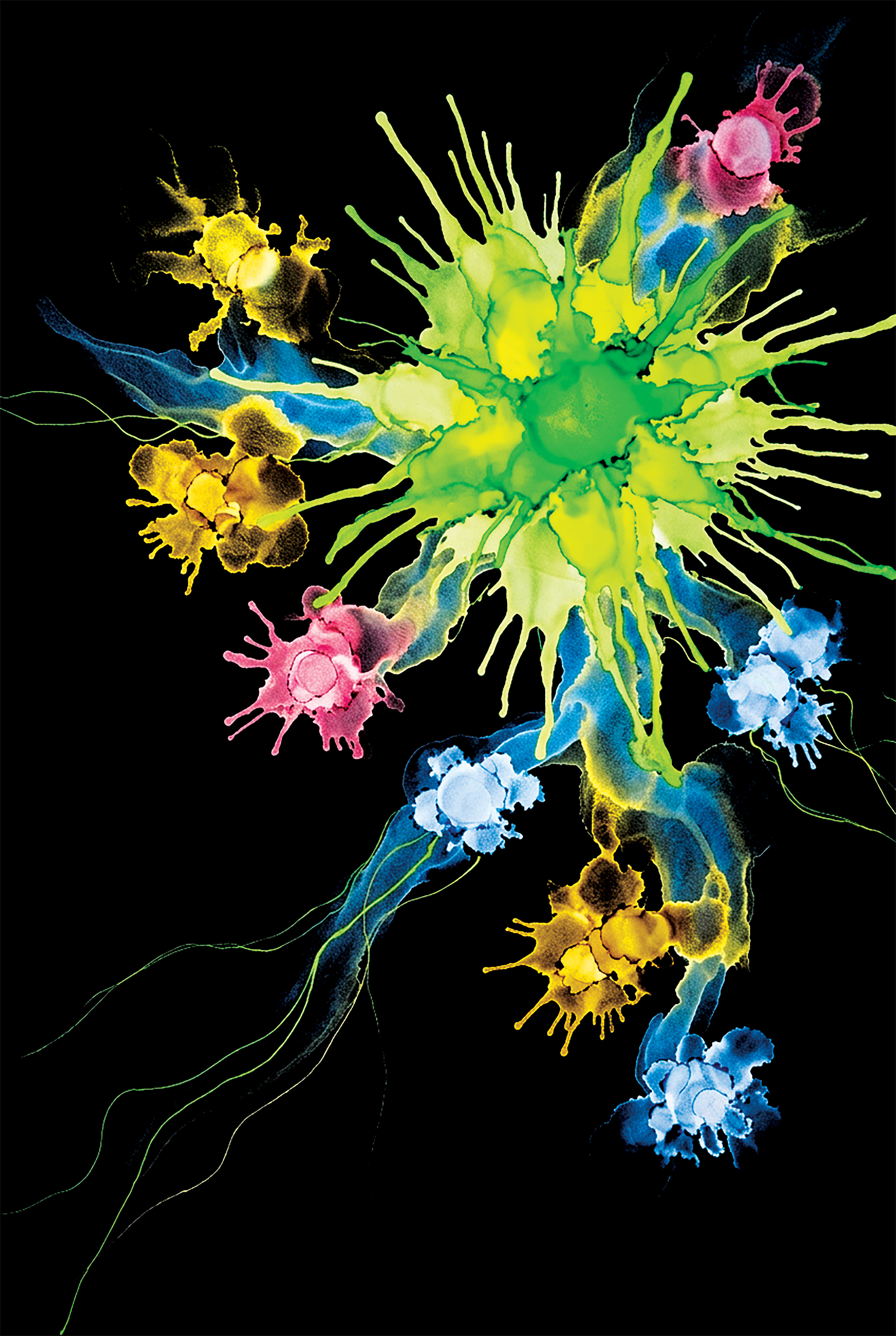 Cosmo · Galassia · 05 · Grande Nube di Magellano - by Solmize