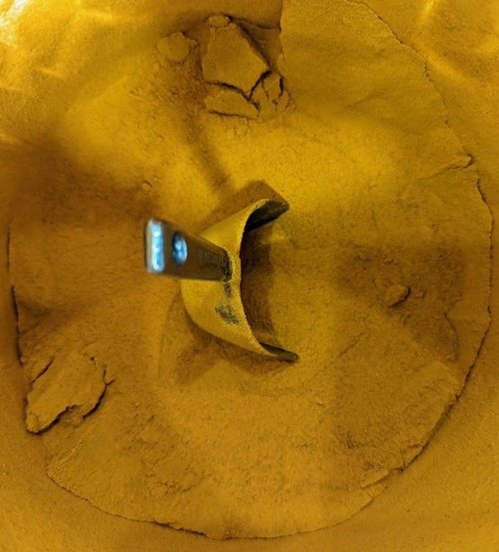 Curcuma Biosteamed Premium Curcuma Longa