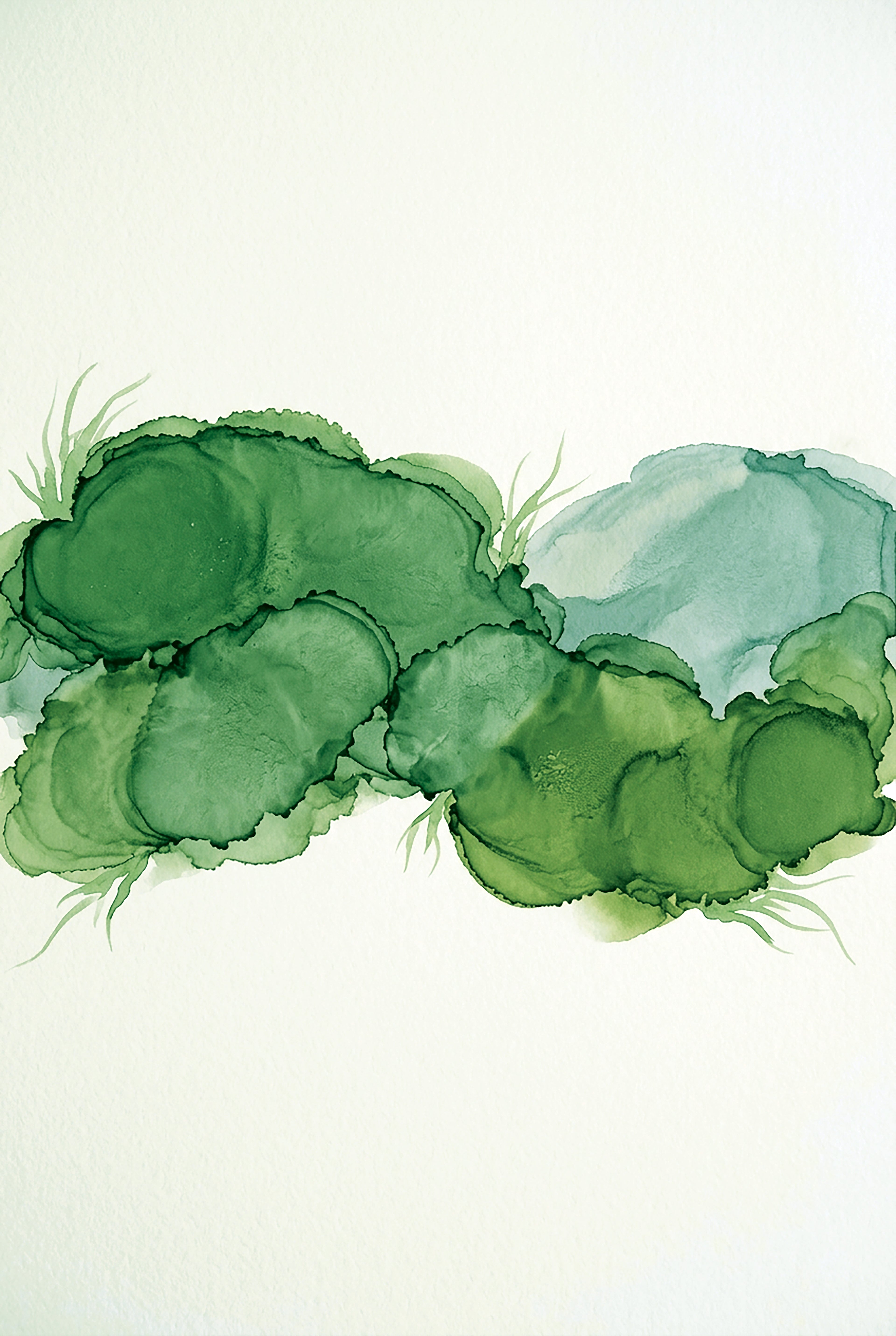 Foresta · Muschio · 02 - by Solmize