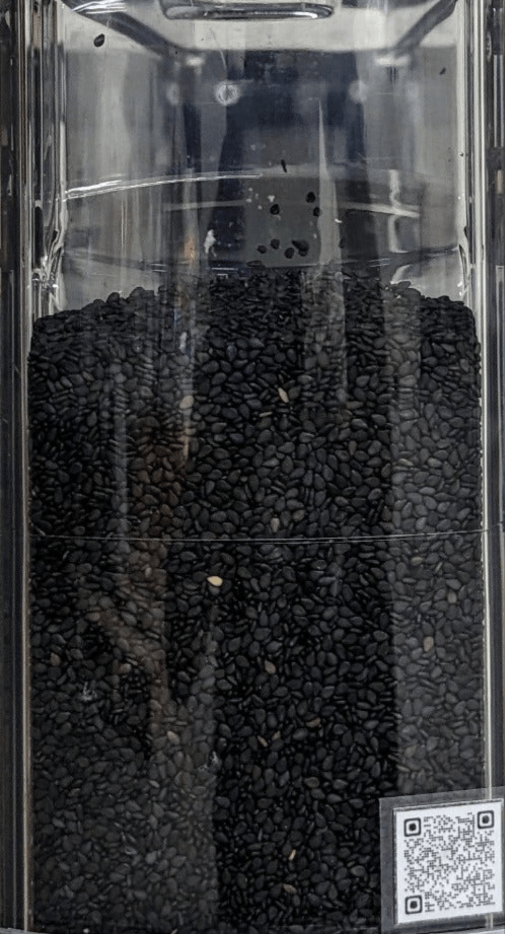 Sesamo Nero semi (Sesame Indiums) Premium Quality - Del Colle