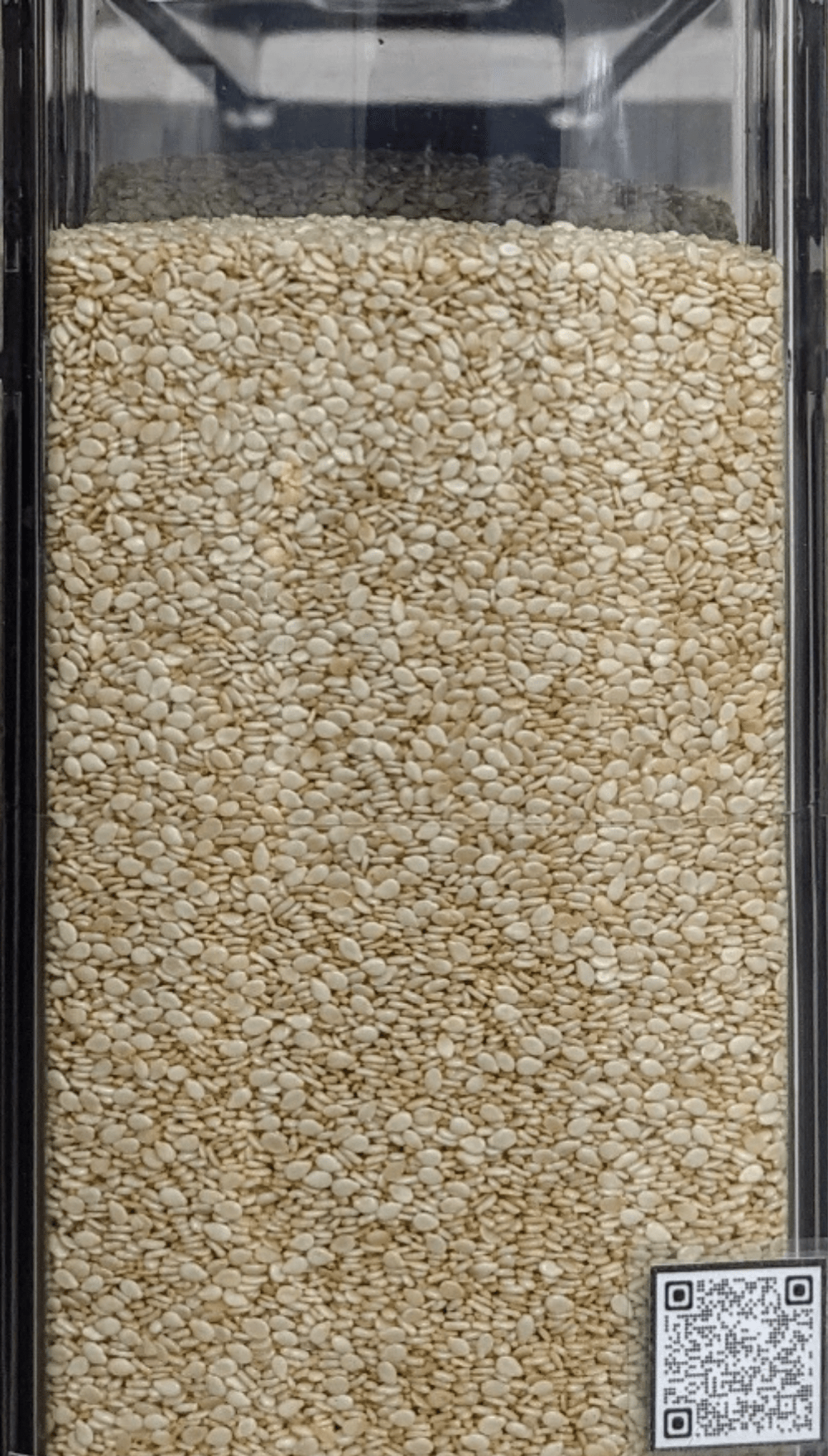 Sesamo semi Premium Quality - Del Colle