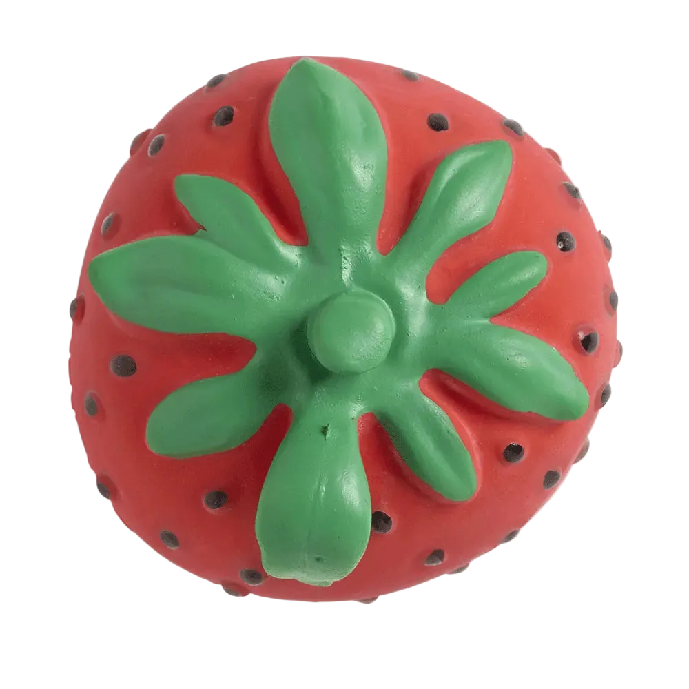 Sweetie la Fragola Massaggia Gengive -  Oli & Carol