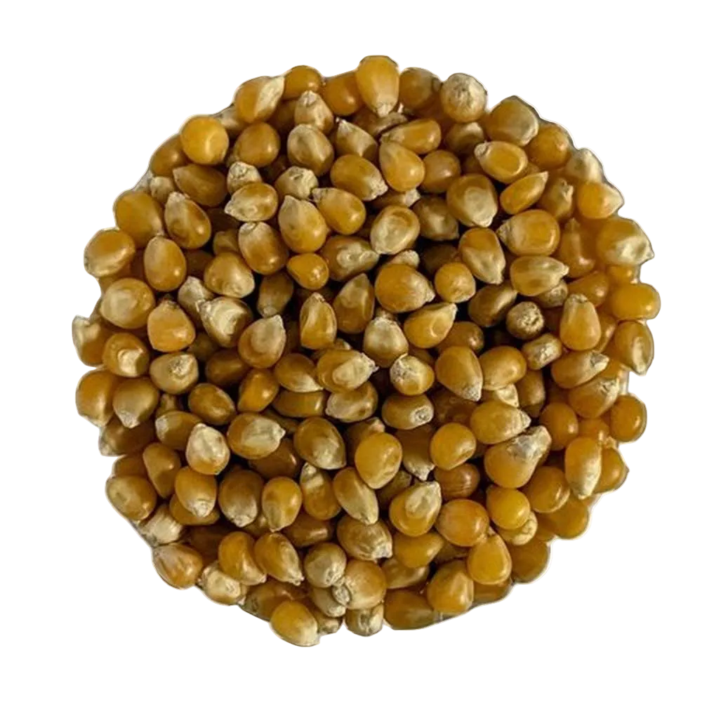 Mais POP-CORN