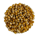 Mais POP-CORN