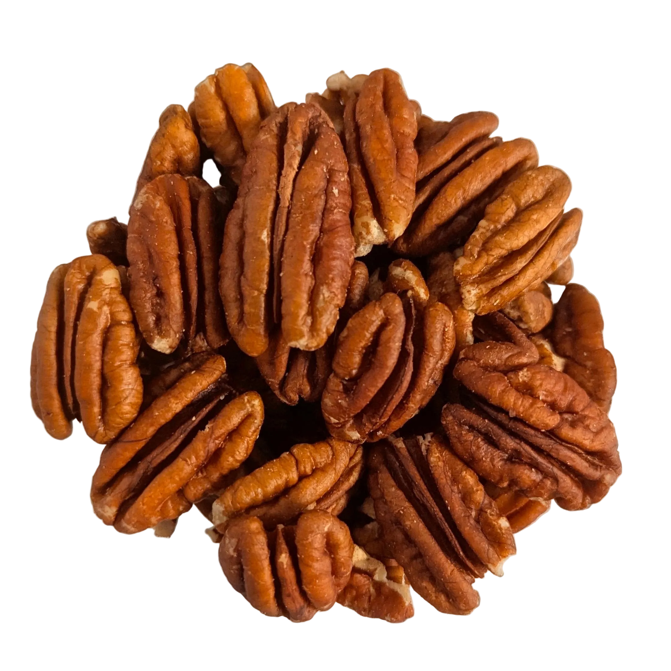 Noci Pecan prima scelta