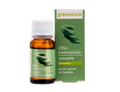 Olio Essenziale Eucalipto - Greenatural