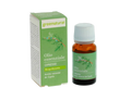 Cipres Etherische Olie - Greenatural