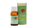 Anise Essential Oil - Greenatural