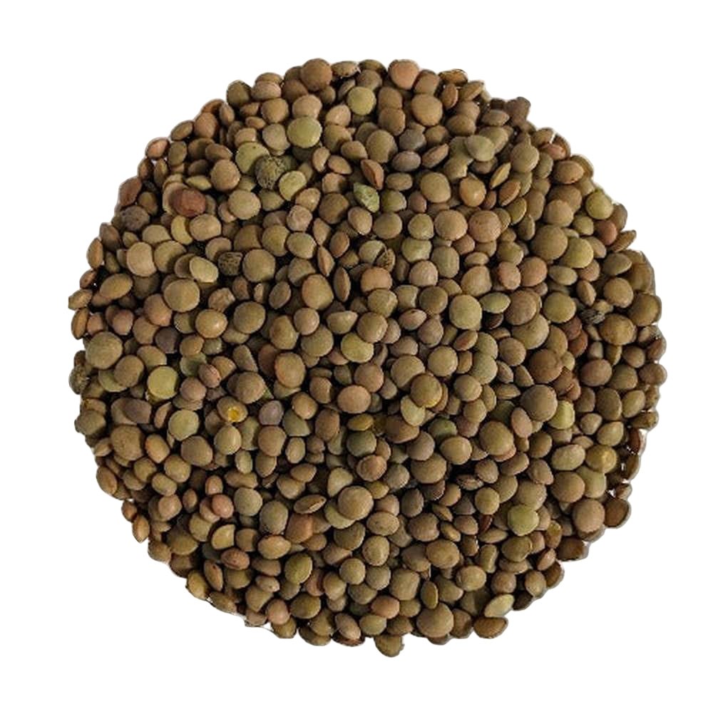 Lenticchie Castelluccio Norcia igp sfuso