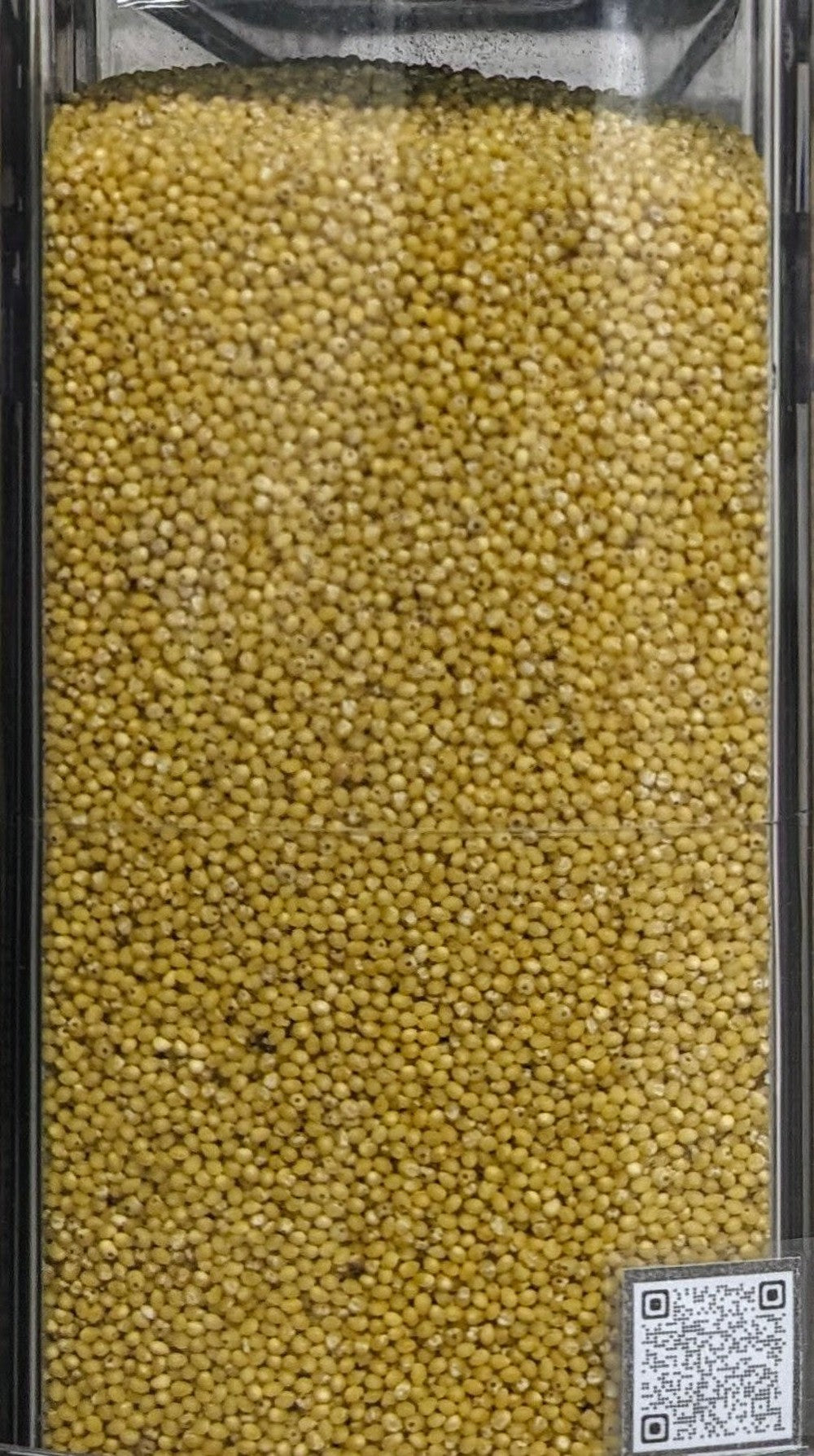 Miglio BIOLOGICO decorticato Premium Quality - Del Colle