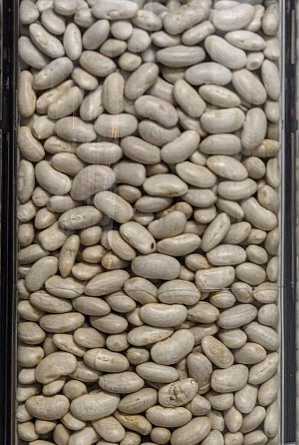 fagioli cannellini bio italia sfuso