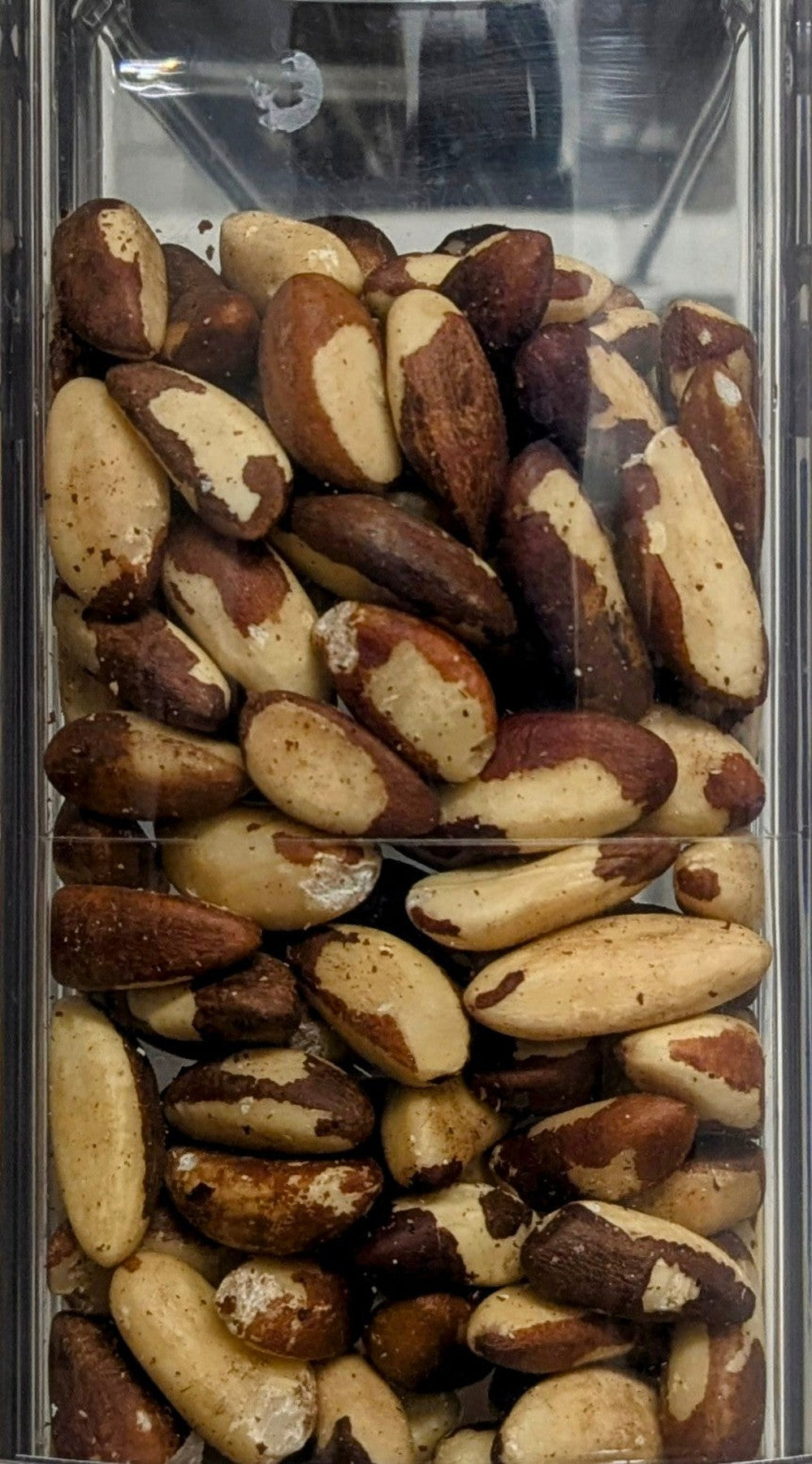 Raw Brazil Nuts First Choice
