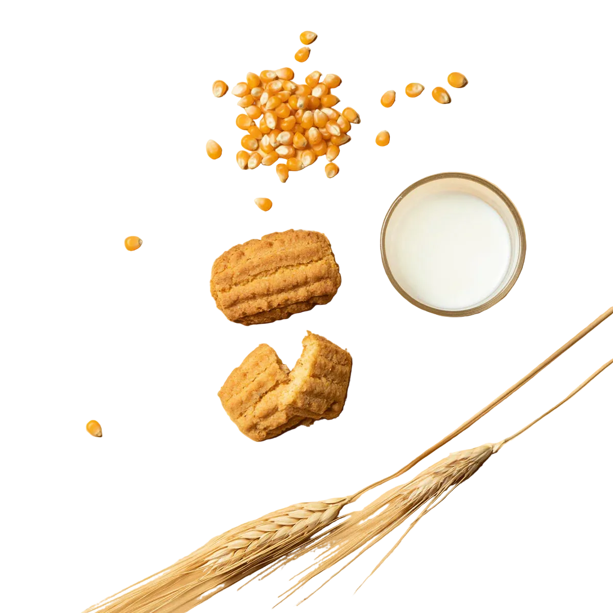 Paste di Meliga - Cavanna