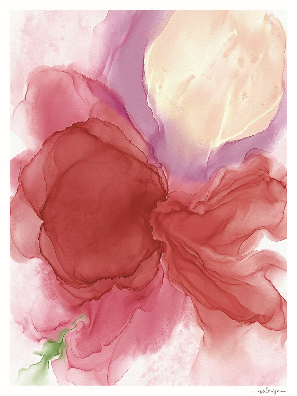 Primavera · Rosa · 03 - by Solmize