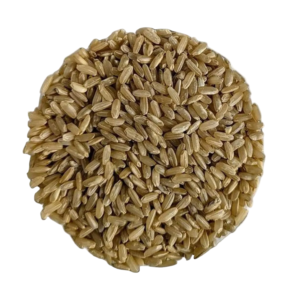 Whole Grain Ribe Rice Premium Quality - Del Colle