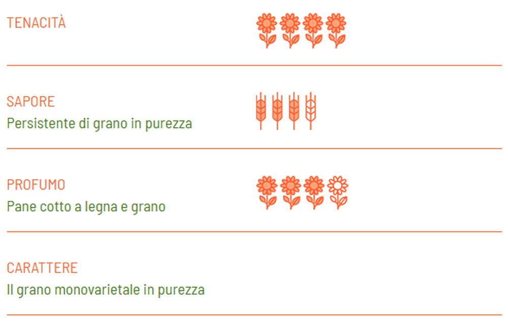 Spaghetti BIO Senatore Cappelli - Girolomoni