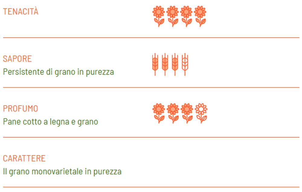 Linguine ORGANIC Senatore Cappelli - Girolomoni