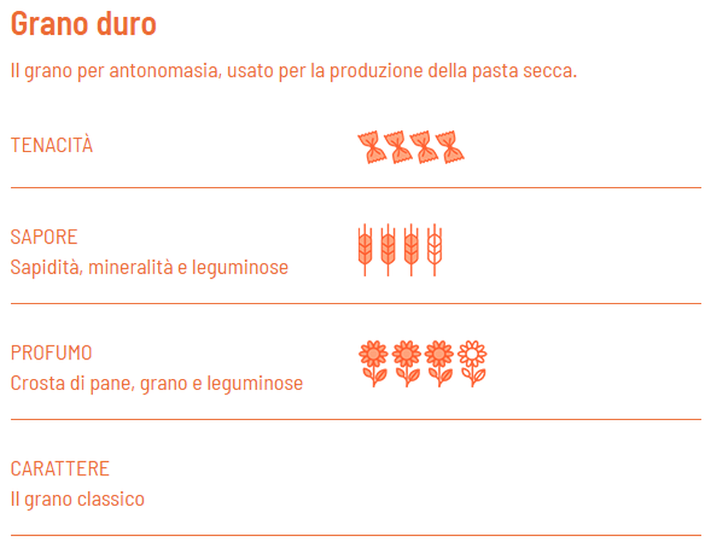 Orecchiette BIO trafilatura ruvida - Girolomoni