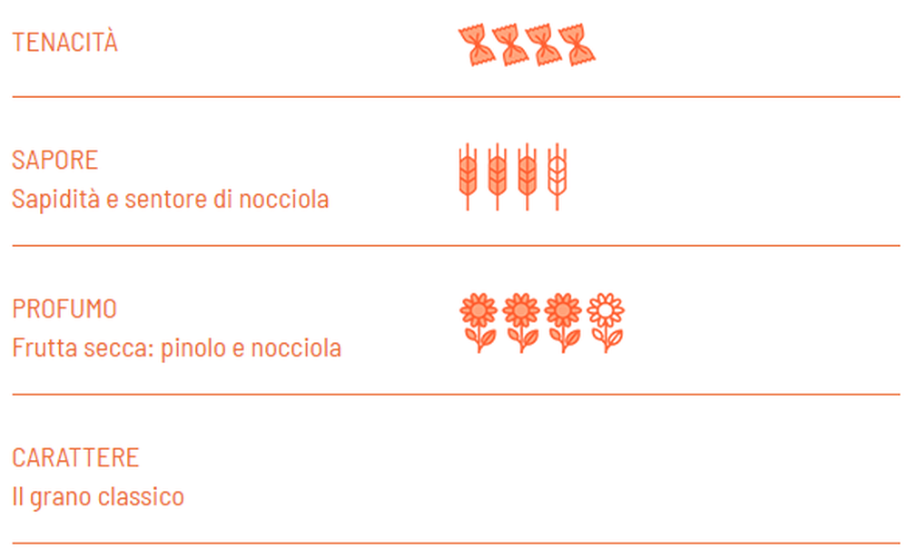 Gomitini BIO trafilatura ruvida - Girolomoni