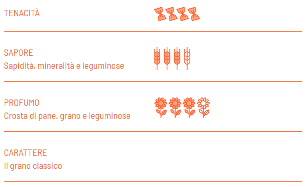 Conchiglie rigate BIO - Girolomoni