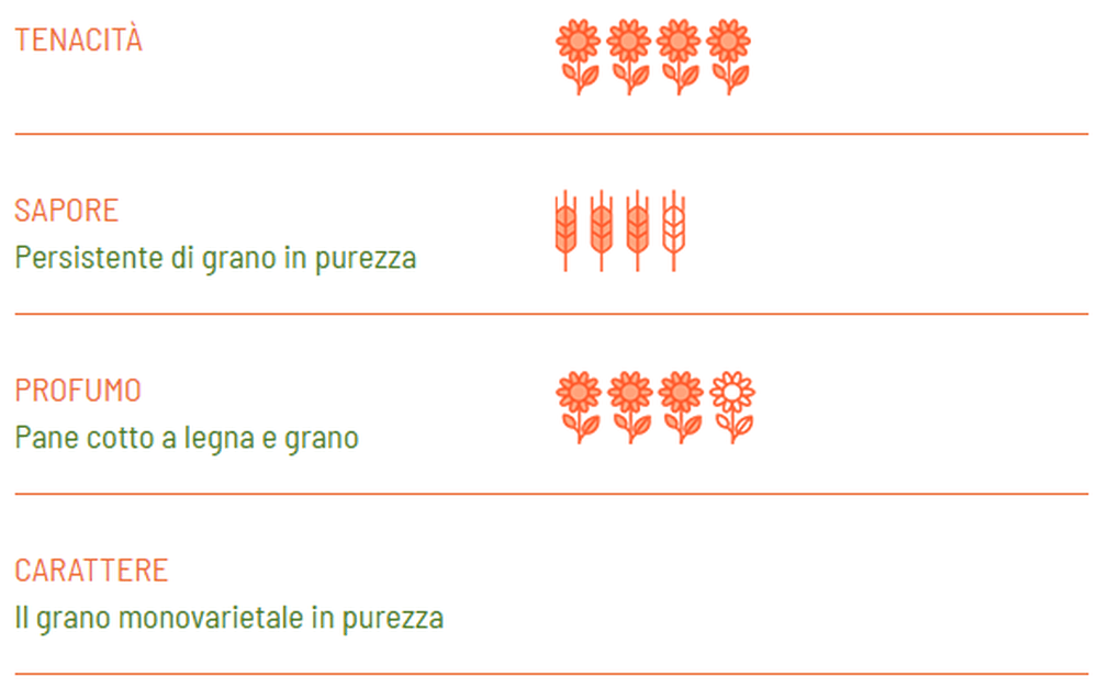 Organic Macaroni Senatore Cappelli - Girolomoni