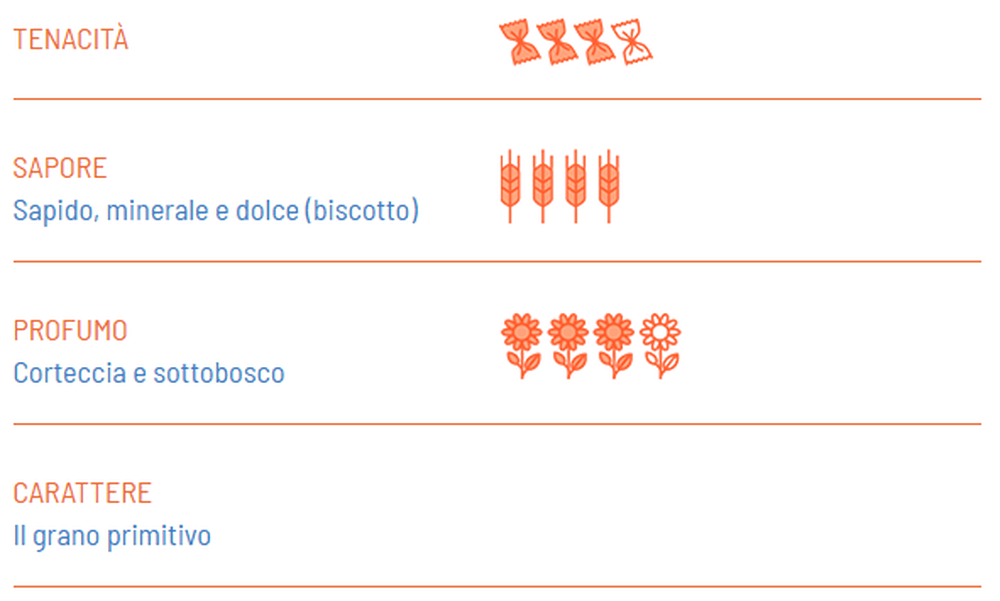 Tagliatelle BIO Farro - Girolomoni