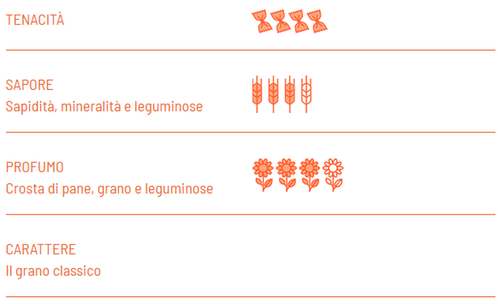Lasagne BIO trafilatura ruvida - Girolomoni