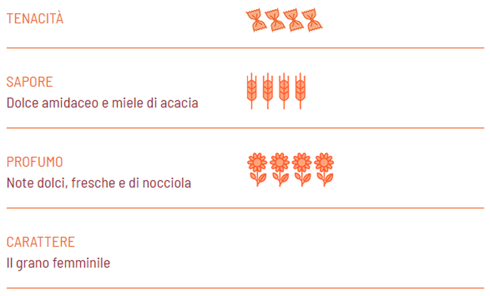 Spaghetti BIO semi-integrali Graziella Ra - Khorasan semi-integrali - Girolomoni