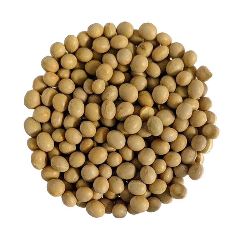 Soia gialla bio sfusa