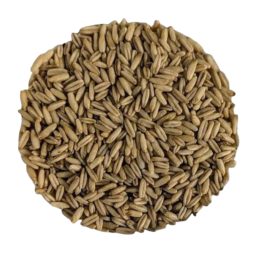 Avoine Décortiquée Complète Première Choix (Avena Sativa) - Del Colle