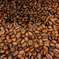 Caffè miscela Argento Circi