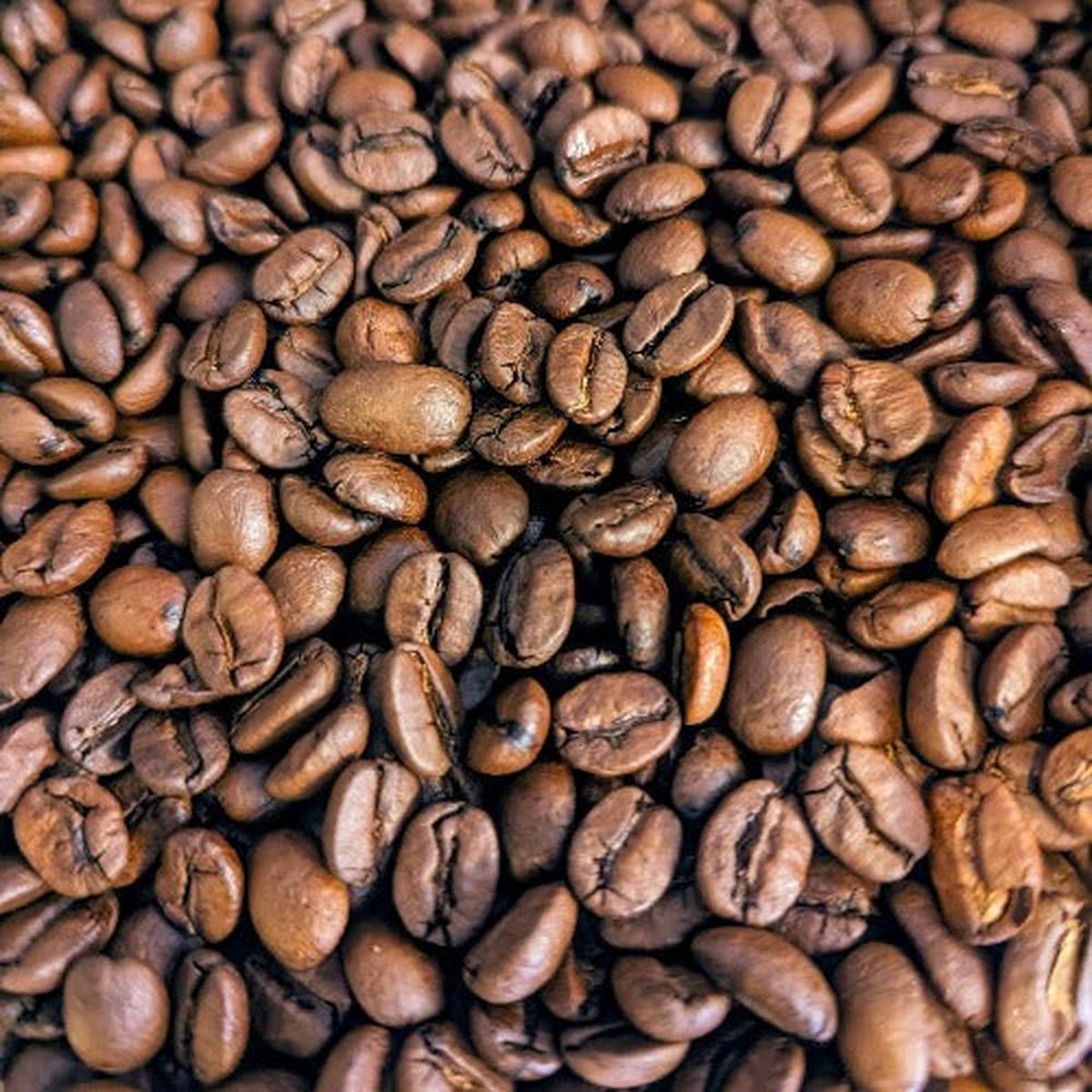 Caffè miscela Oro 100% Arabica Circi