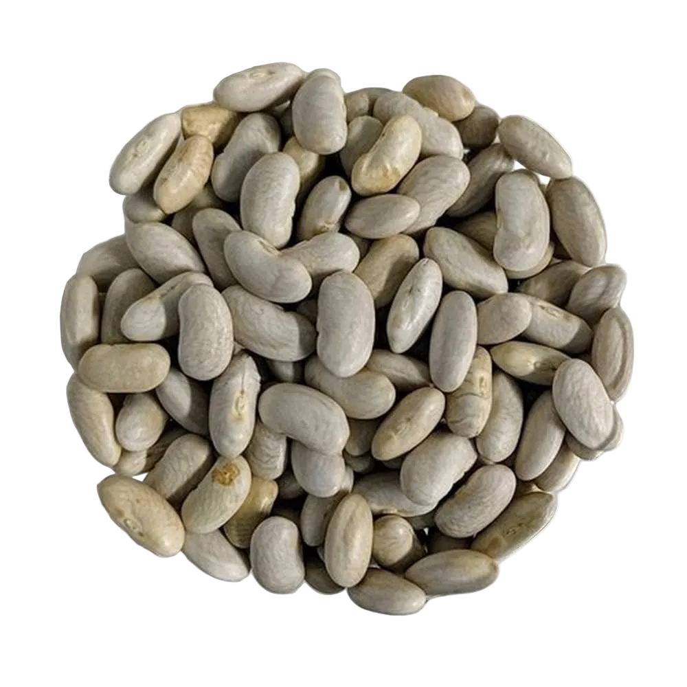 BIO Cannellini Bohnen Höchste Qualität - Del Colle