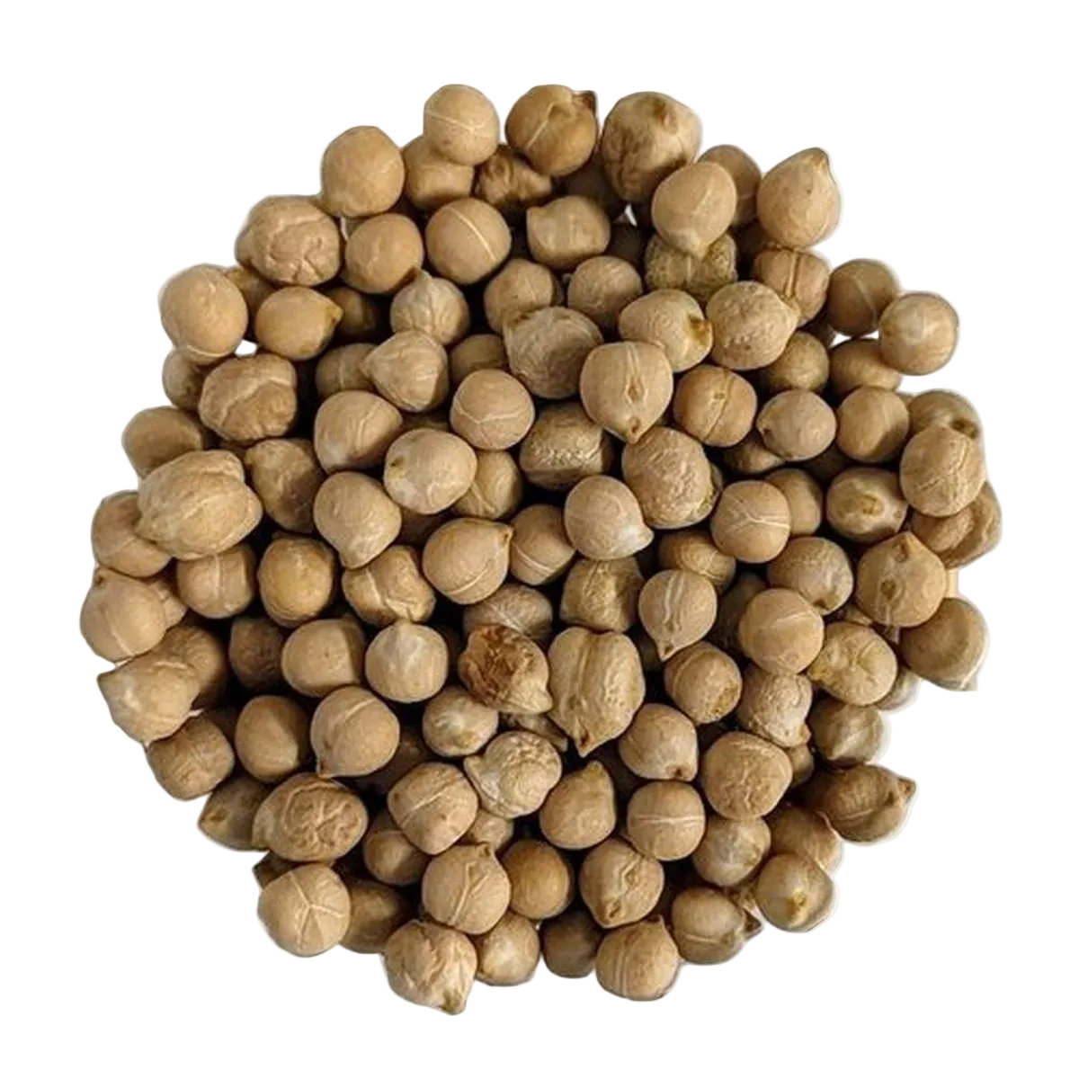Tuscan Organic Chickpeas First Choice - Del Colle