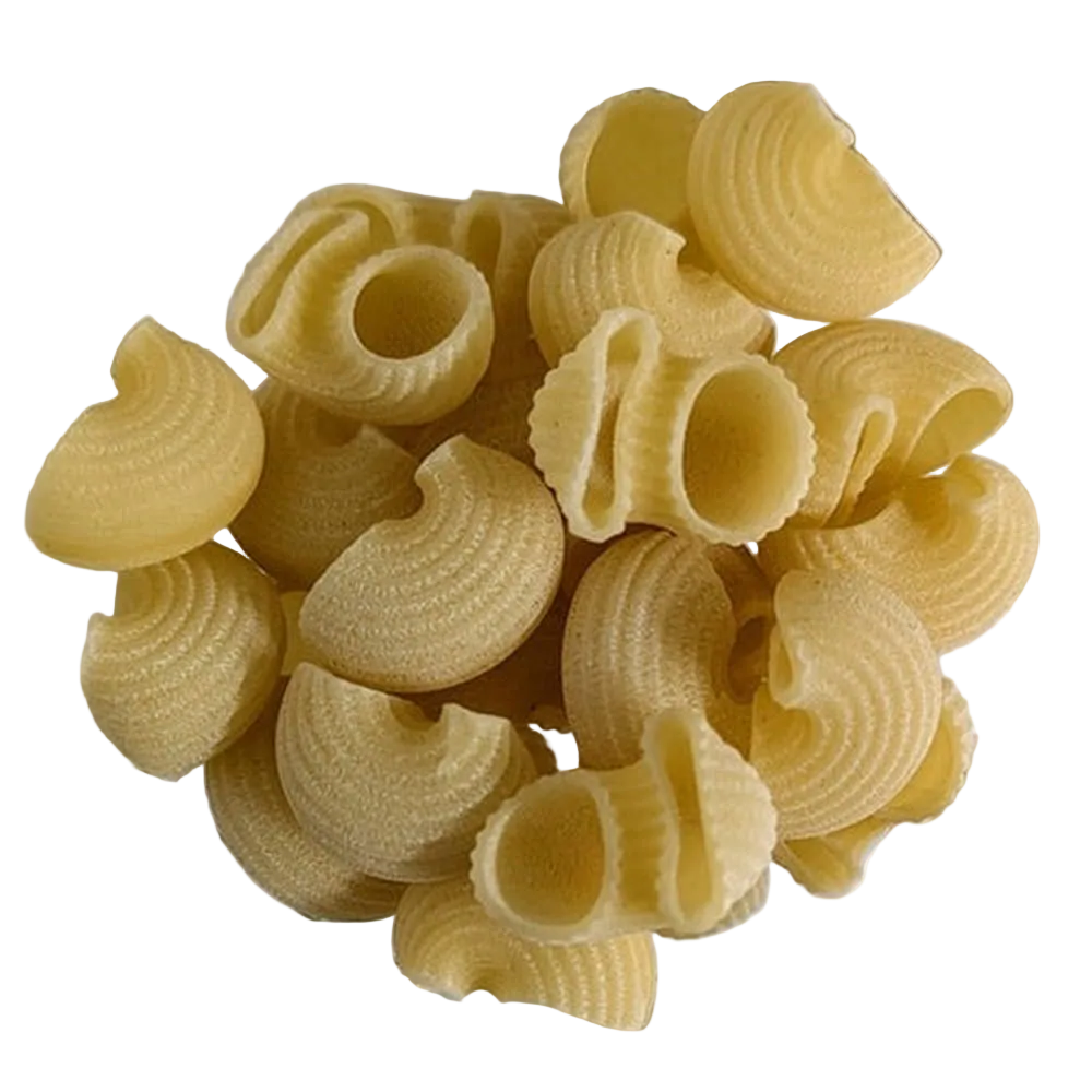 Organic Rough-Drawn Ridged Shells - Girolomoni