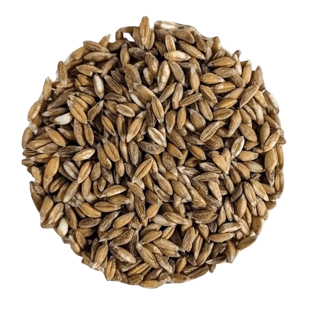 Organic Whole Spelt Premium Quality - Del Colle