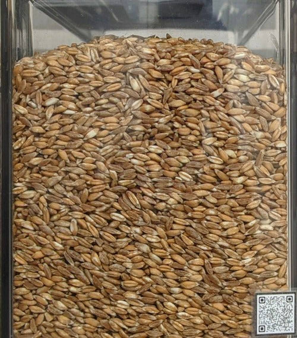 Farro integrale BIOLOGICO Premium Quality - Del Colle