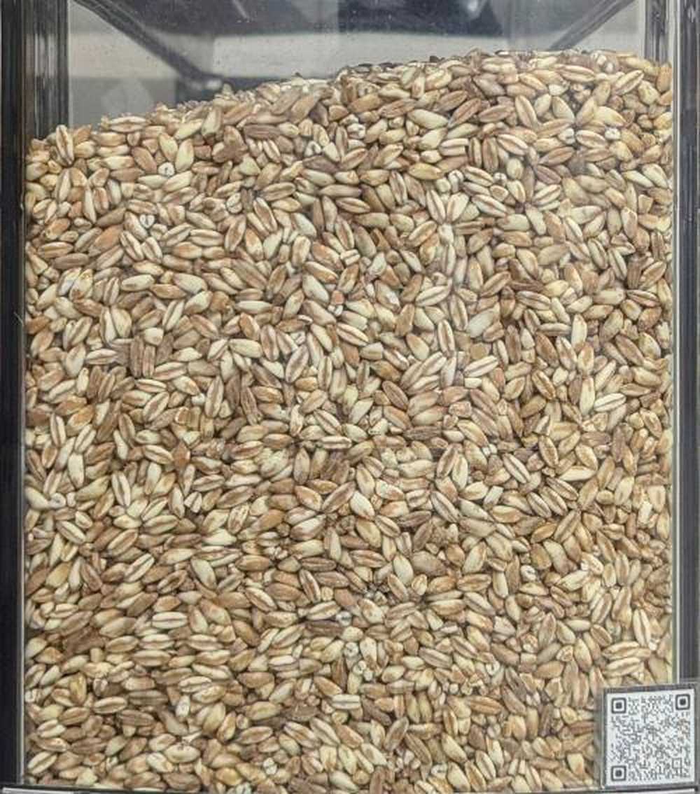 Farro perlato BIOLOGICO Premium Quality - Del Colle