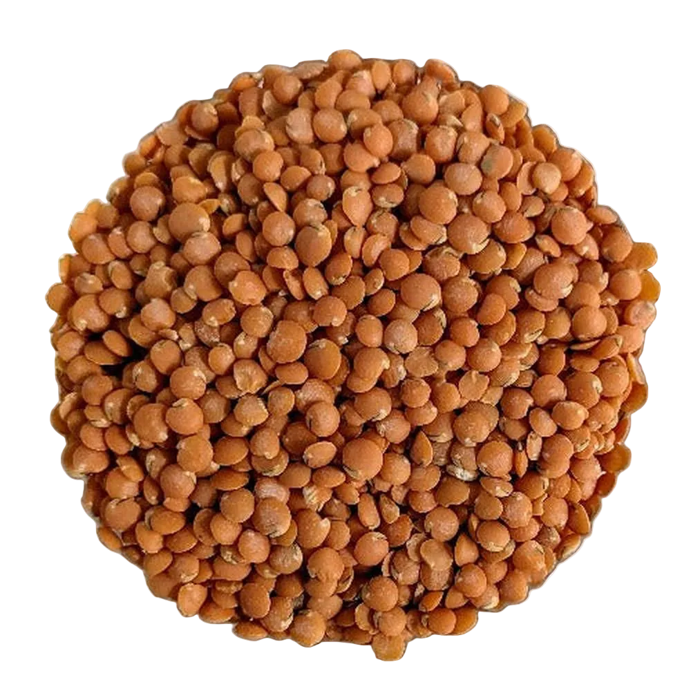 Lenticchie Rosse decorticate BIOLOGICHE Qualità Superiore - Del Colle