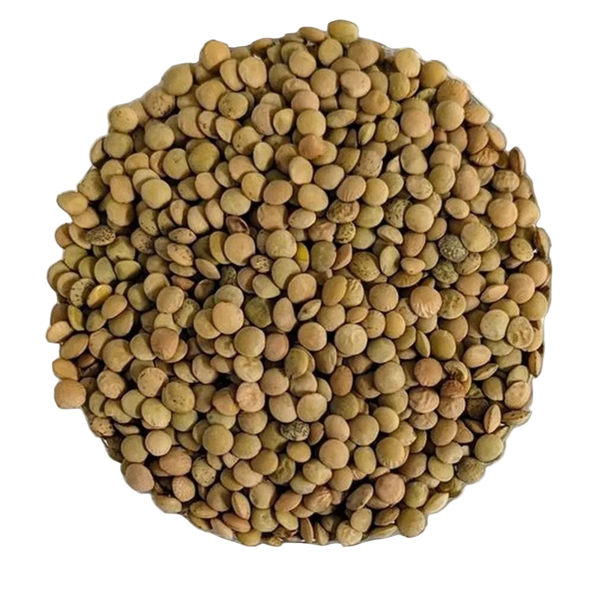 Organic Green Lentils Superior Quality - Del Colle