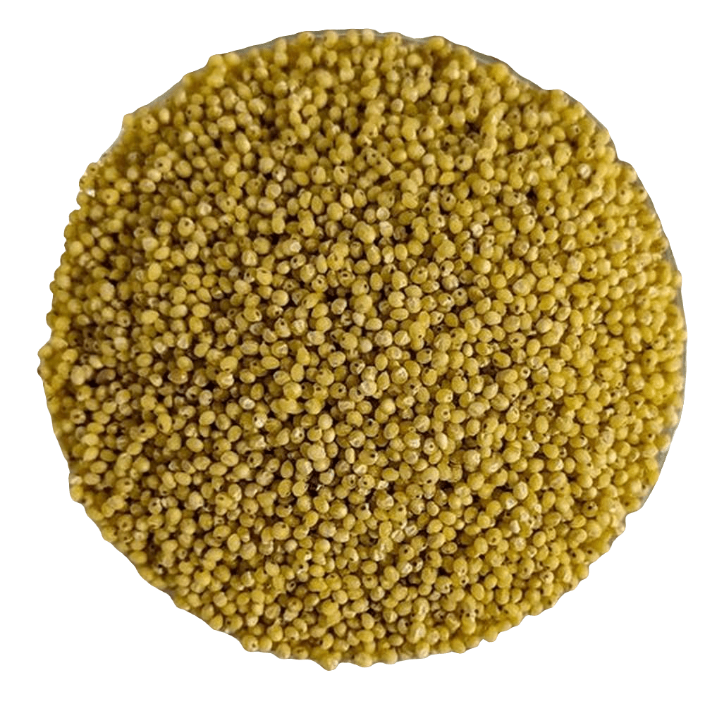 Miglio BIOLOGICO decorticato Premium Quality - Del Colle