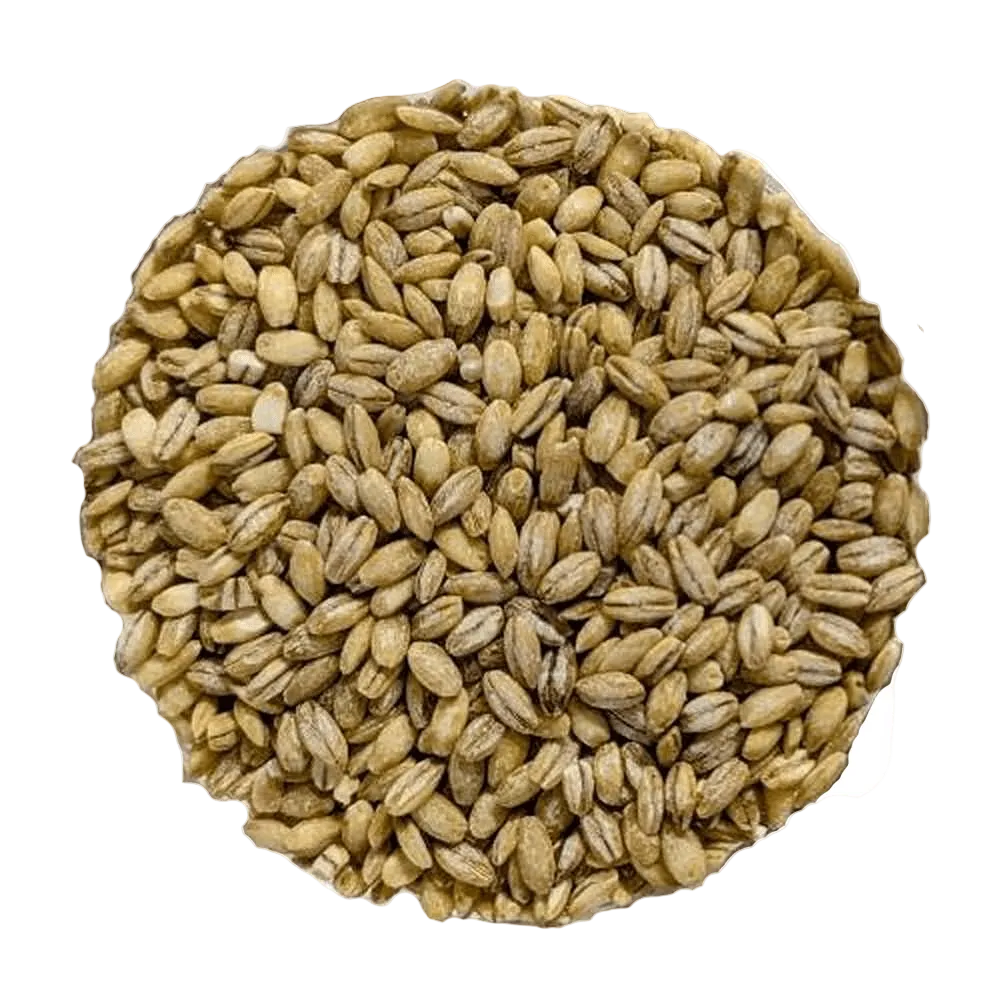 BIO Perlgerste Premium Qualität - Del Colle