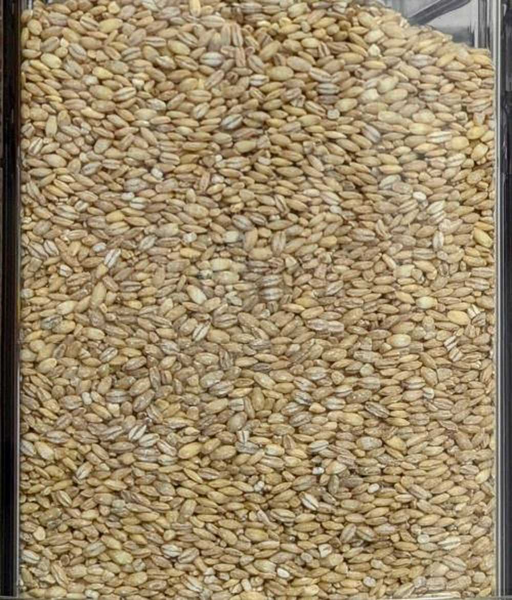 Orzo perlato BIOLOGICO Premium Quality - Del Colle