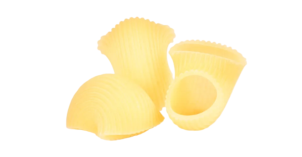 Organic Rough-Drawn Ridged Shells - Girolomoni