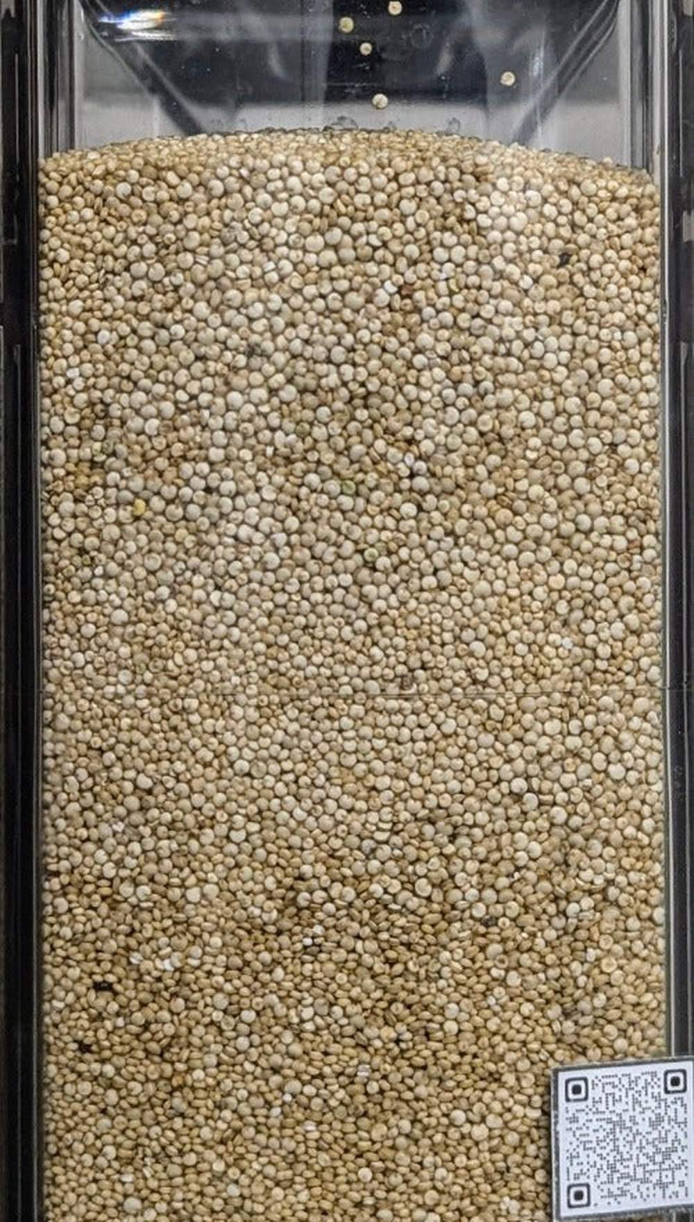 Quinoa Bianca Reale - Del Colle