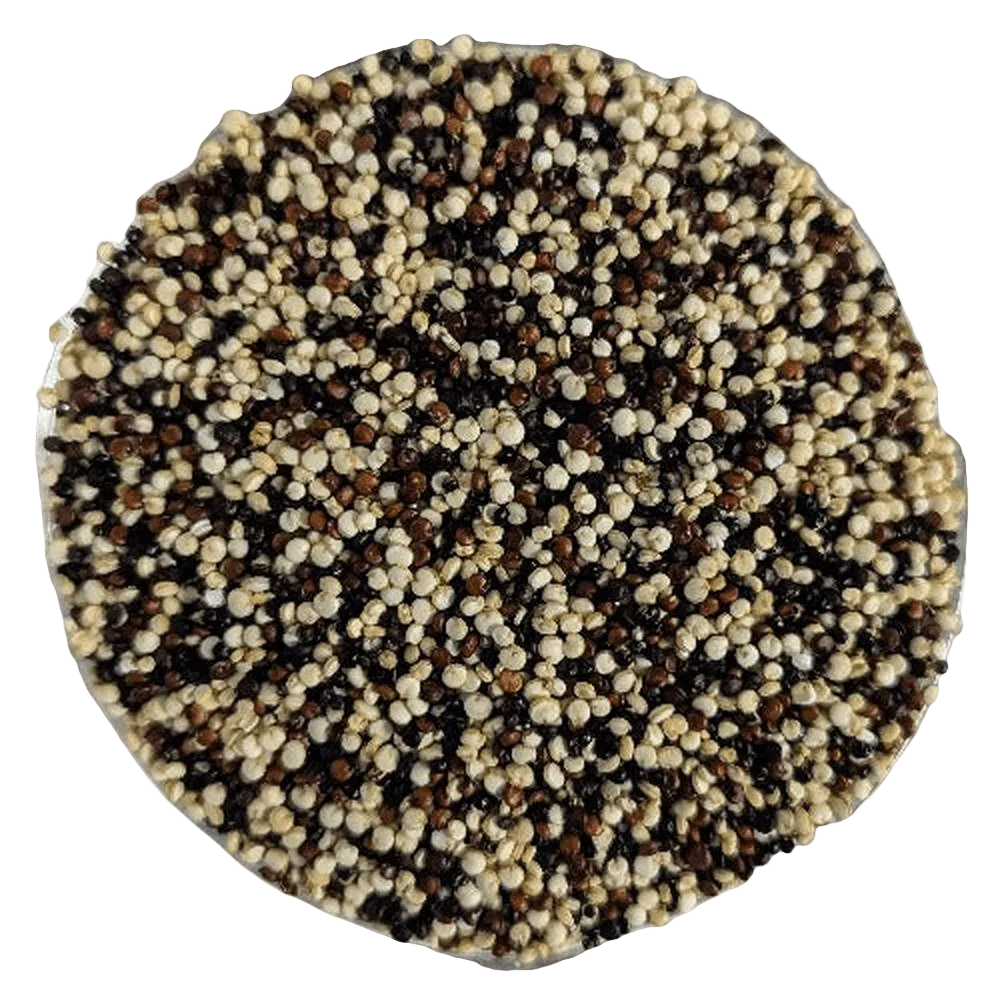 Quinoa MIX - Del Colle