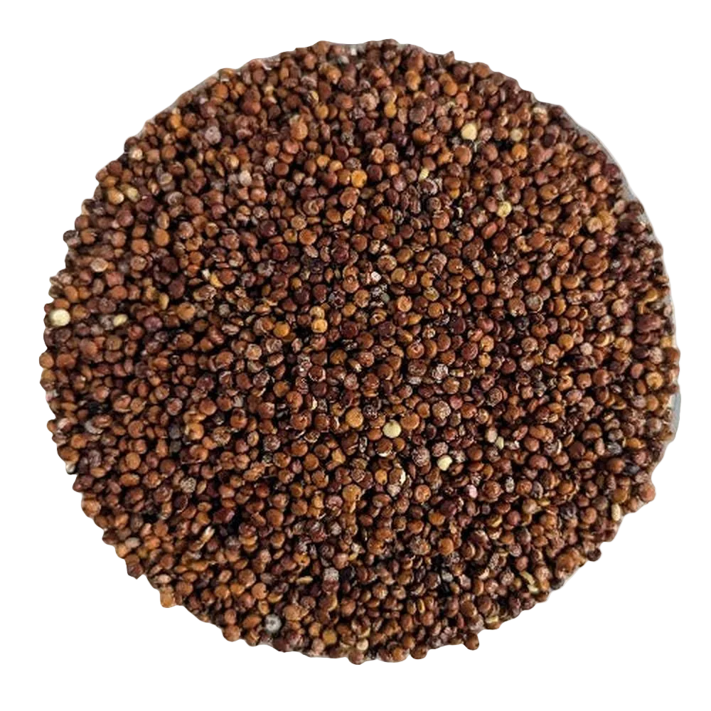 Rote Anden-Quinoa - Del Colle